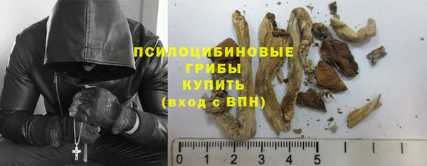 эйфоретик Армянск