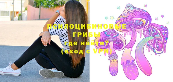твердый Аркадак