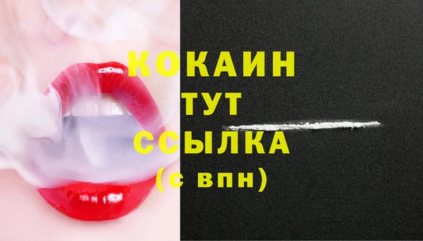 твердый Аркадак
