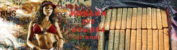 соль ск Арсеньев