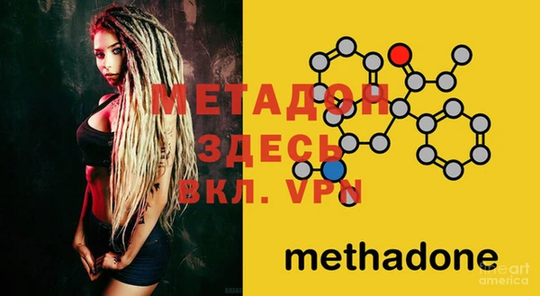 твердый Аркадак