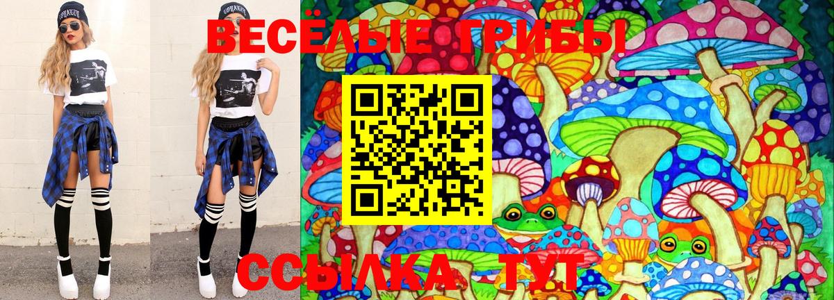 Брянск  Псилоцибиновые грибы Cubensis  Вход с VPN 